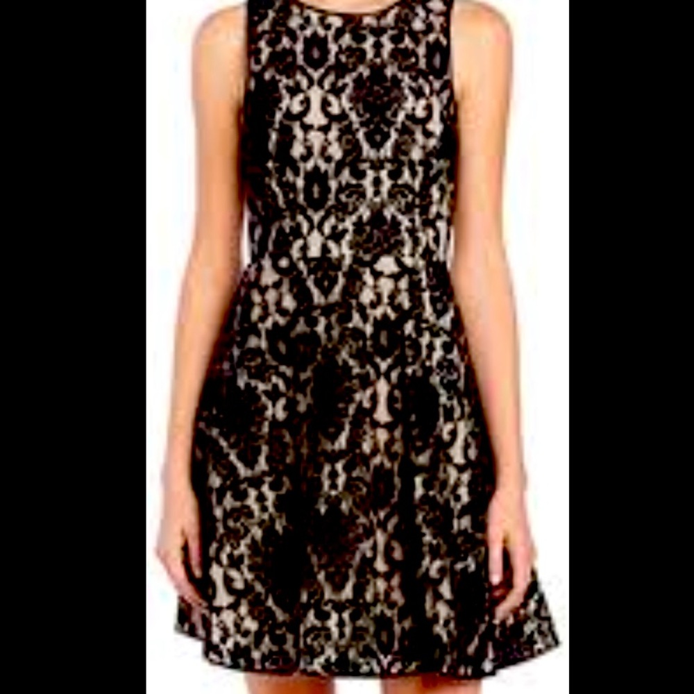 H&M Floral Lace Skater Dress Size 2 or XS